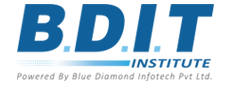 BDIT Institute Logo